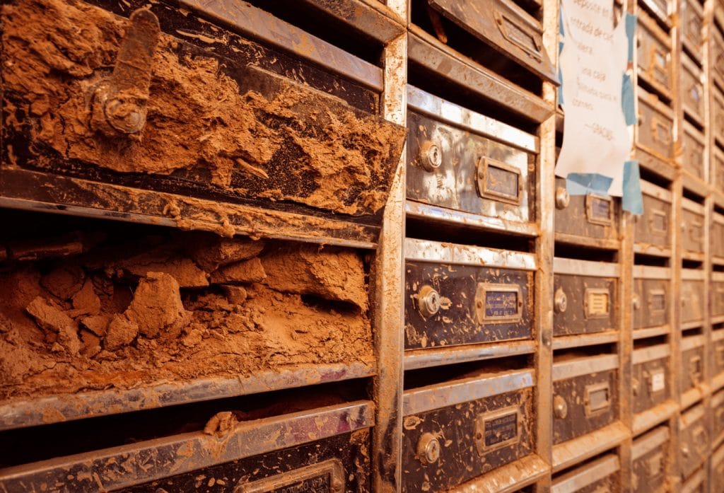 La DANA: que no caiga en el olvido 7 W2A1142