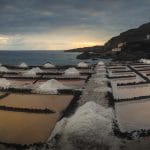 salinas copia