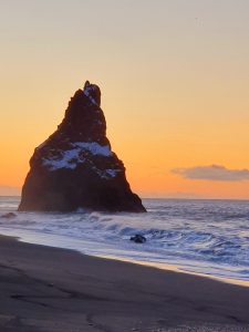 Mari Carmen Muñoz-Reja