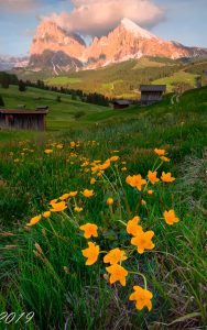 Home 27 @antonionocturna