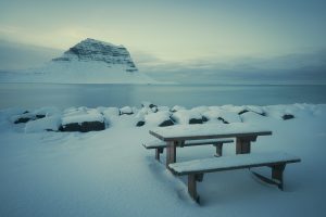 Home 12 @anaisabelalviz