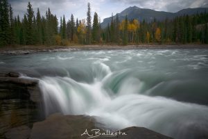 @antonia.ballesta.52