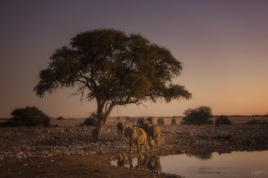 Home 21 @pedro_bt_photography